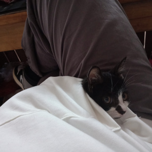 给我播放黄色免费无码视频
