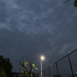 给我播放黄色免费无码视频
