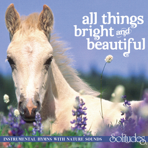 给我播放黄色免费无码视频
