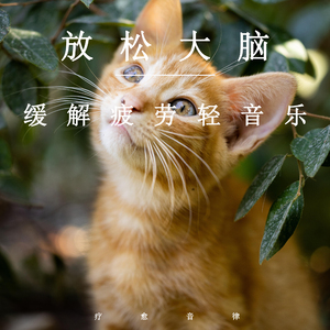 给我播放黄色免费无码视频
