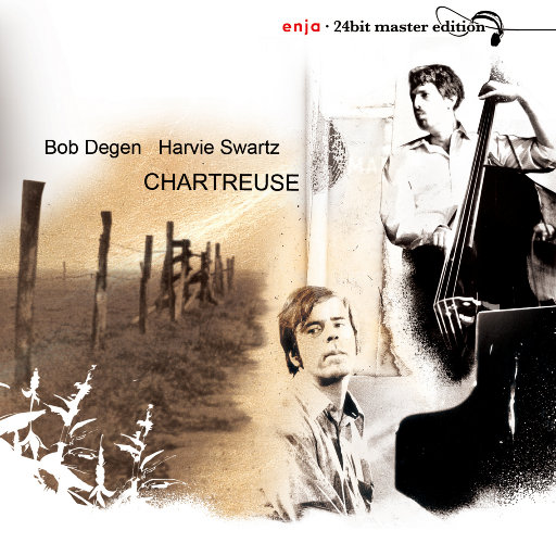 给我播放黄色免费无码视频
